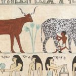 domesticación animales Egipto