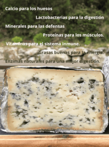 beneficios del queso artesano en la salud