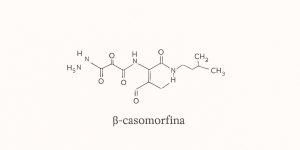 Estructura química de la β-casomorfina en artículo sobre si el queso es adictivo